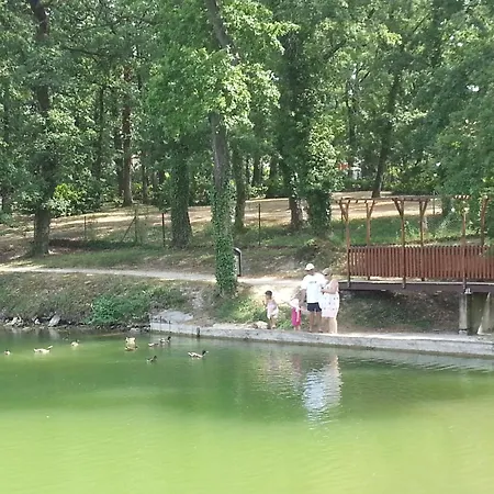 T2 Piscine Lit Double Dans Du Monflanquin