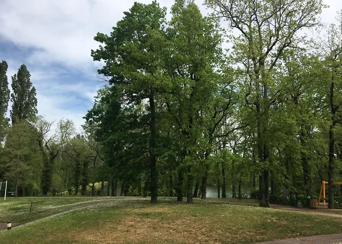 T2 Piscine Lit Double Dans Du